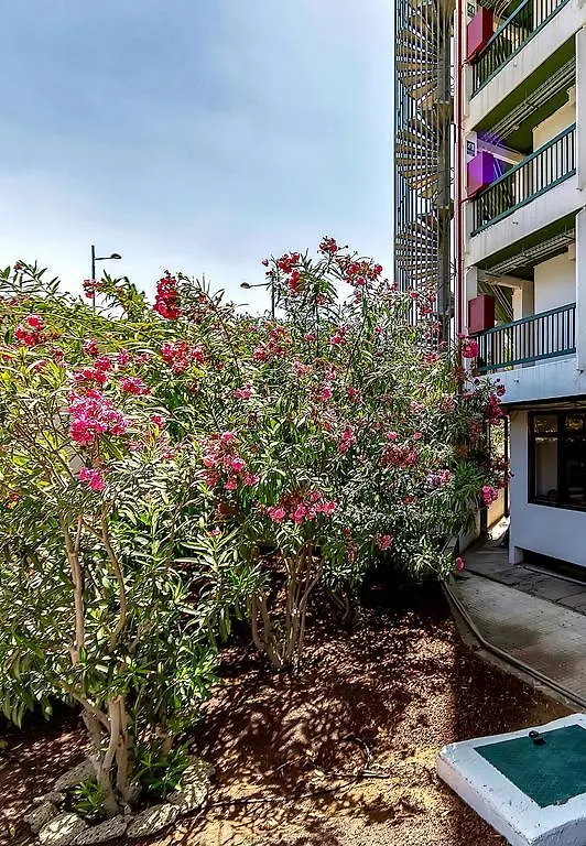 Vina Del Mar Ocean Apartment Playa de las Americas  Playa de las Americas (Tenerife)