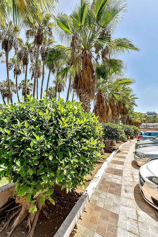 Vina Del Mar Ocean Apartment Playa de las Americas