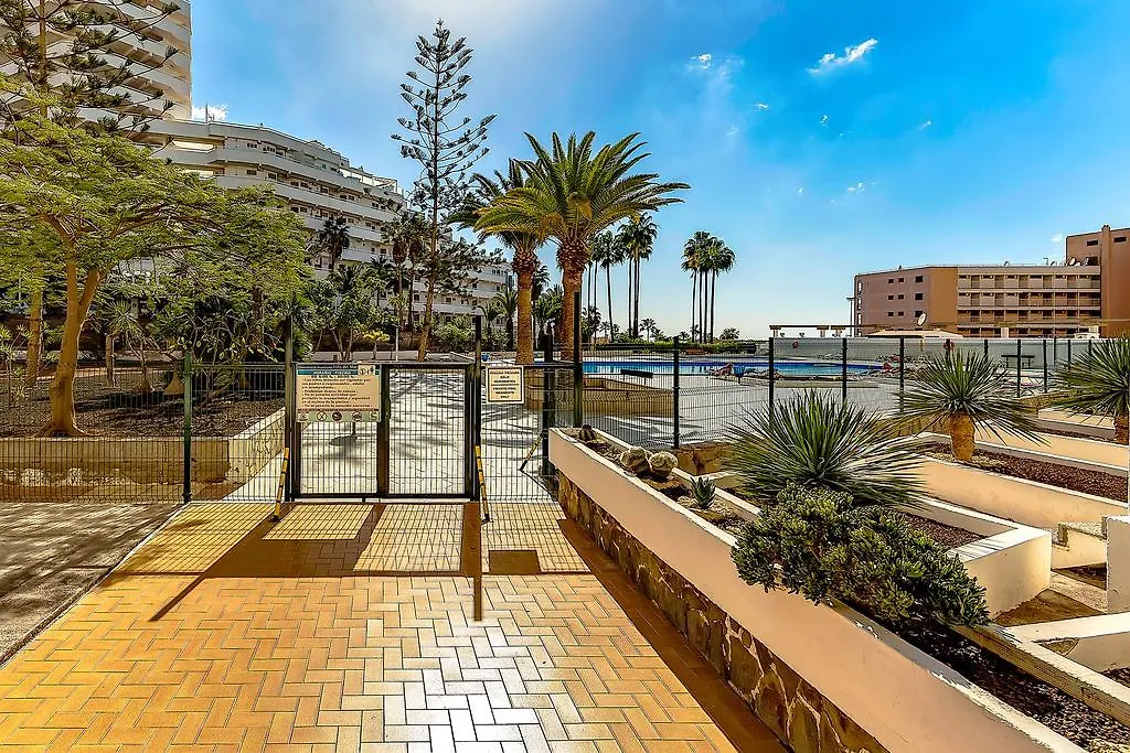 Vina Del Mar Ocean Apartment Playa de las Americas  Playa de las Americas (Tenerife)